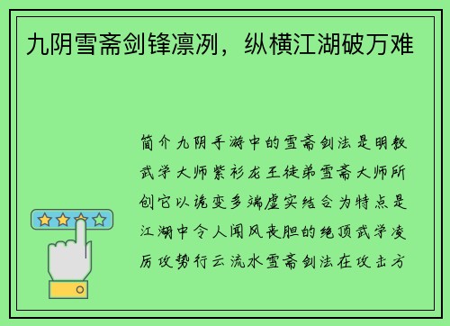 九阴雪斋剑锋凛冽，纵横江湖破万难
